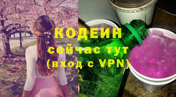 СК Киренск
