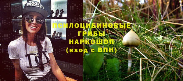 spice Козельск